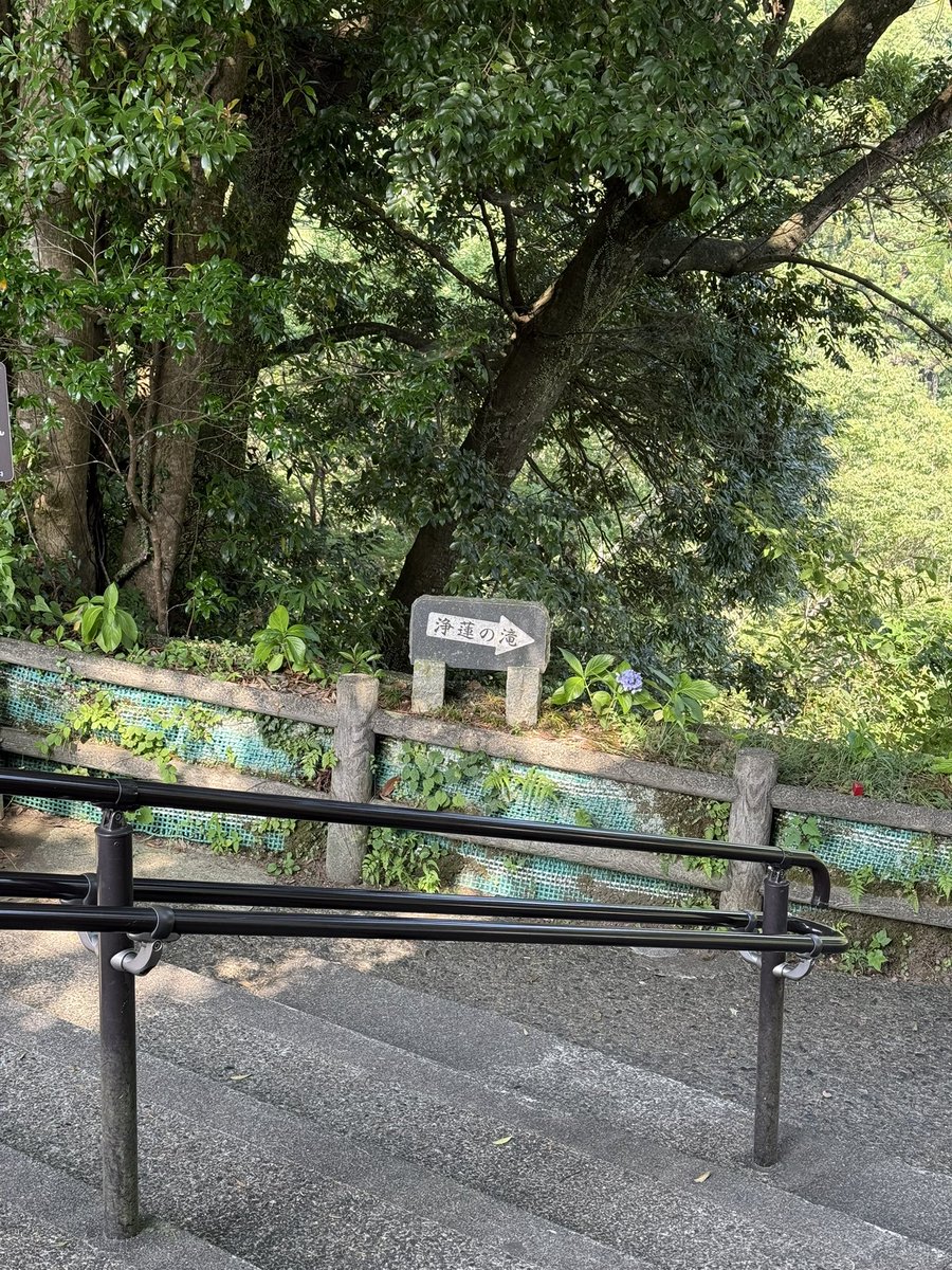 MadHammocker's tweet photo. 浄蓮の滝を見たいというパイセンを見送って日陰で涼む。
眺めていると戻ってくる人、全員もれなく苦悶の表情で汗だく。
『無駄な体力を使った…』と言う会話も（笑）。 https://t.co/EDTnw9oFNg