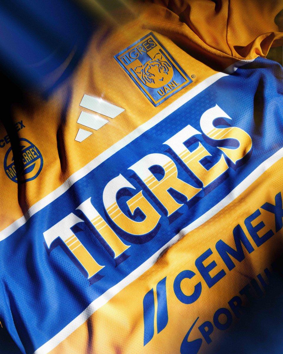 TigresOficial's tweet photo. 👉🏼💛 ¡Este escudo y estos colores se defienden con el alma!
 
La garra y la pasión por Tigres no son negociables. https://t.co/SDlUMi3Ovl