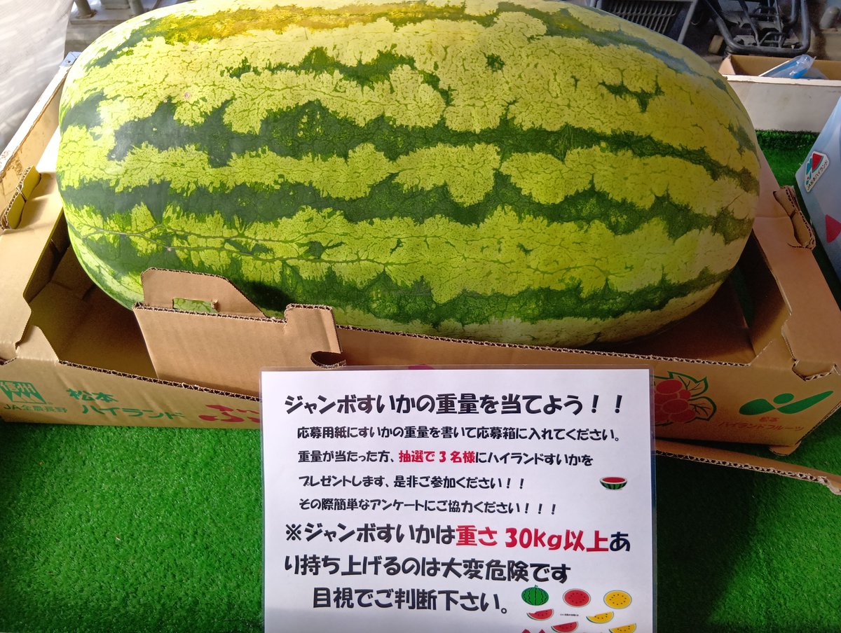 fg_yamabe's tweet photo. ジャンボすいか🍉重量当て
#山辺ワイナリー　#ファーマーズガーデンやまべ　#農産物直売所 https://t.co/ny0GVy2thJ