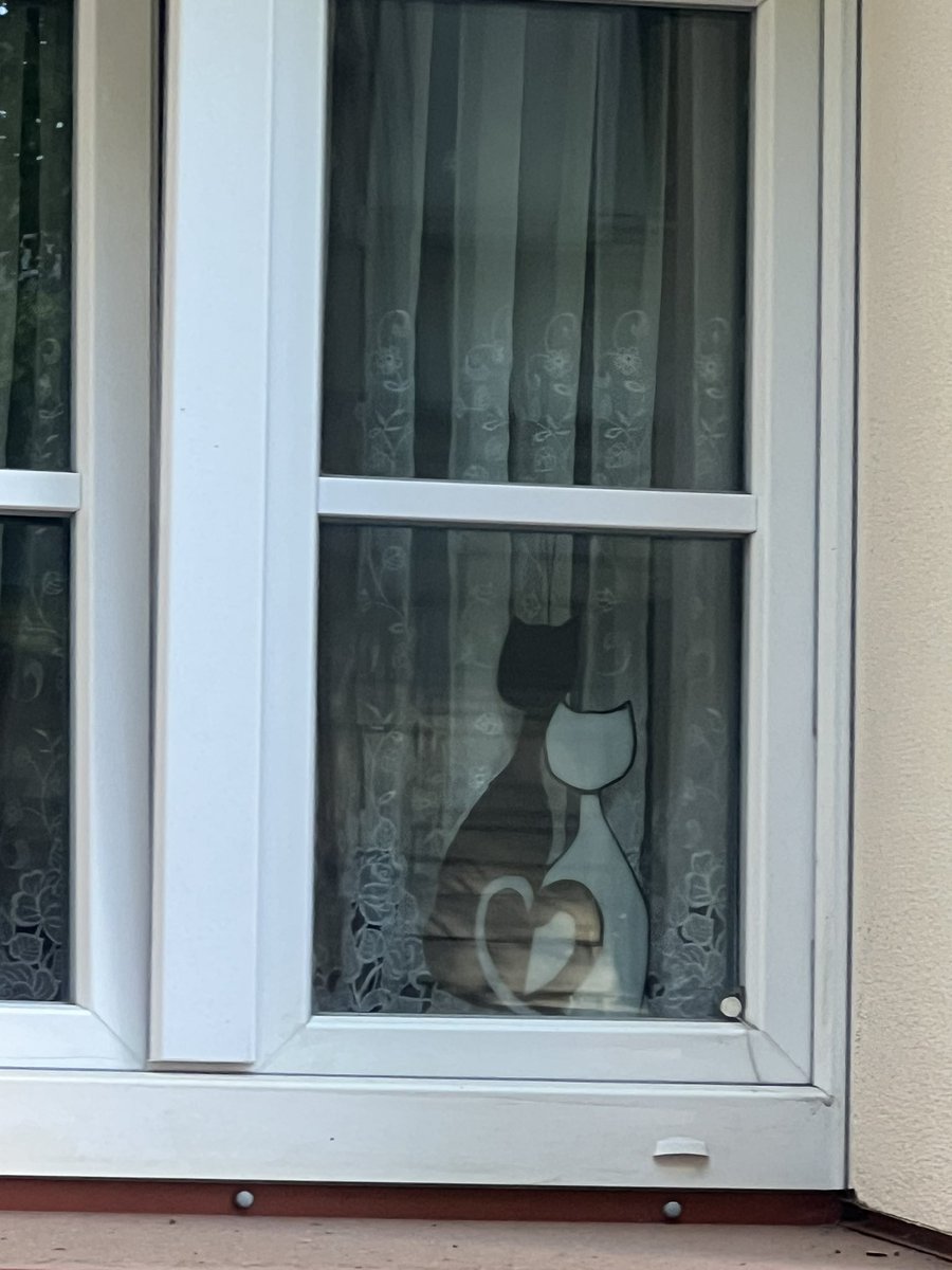 NDEPZR's tweet photo. #cats in windows MARIENDORF #katzeninfenstern #catsofx #berlin #catsinwindows 07/26 [ /ᐠ ̥ ̣̮ ̥ ᐟ\ﾉ ] https://t.co/xoflDyKjga