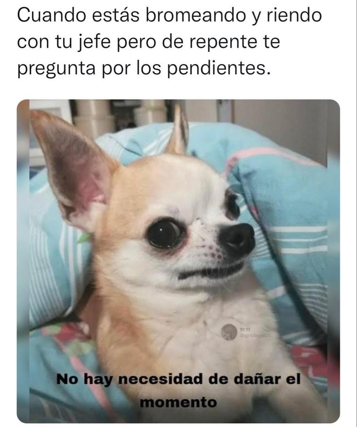 EnsedeCiencia's tweet photo. 😂😅 https://t.co/2aTPQ6svta