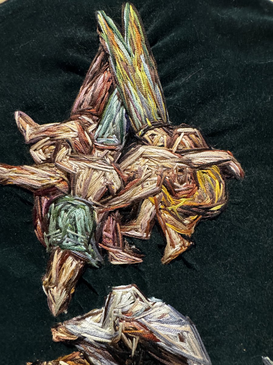 matthew104's tweet photo. Colleen Davies @colleen_daves 
Witches' Flight
14”, embroidery floss on green velvet
April/May 2026

After Francisco Goya's 1798 painting of the same name. https://t.co/QpBwED2eIk