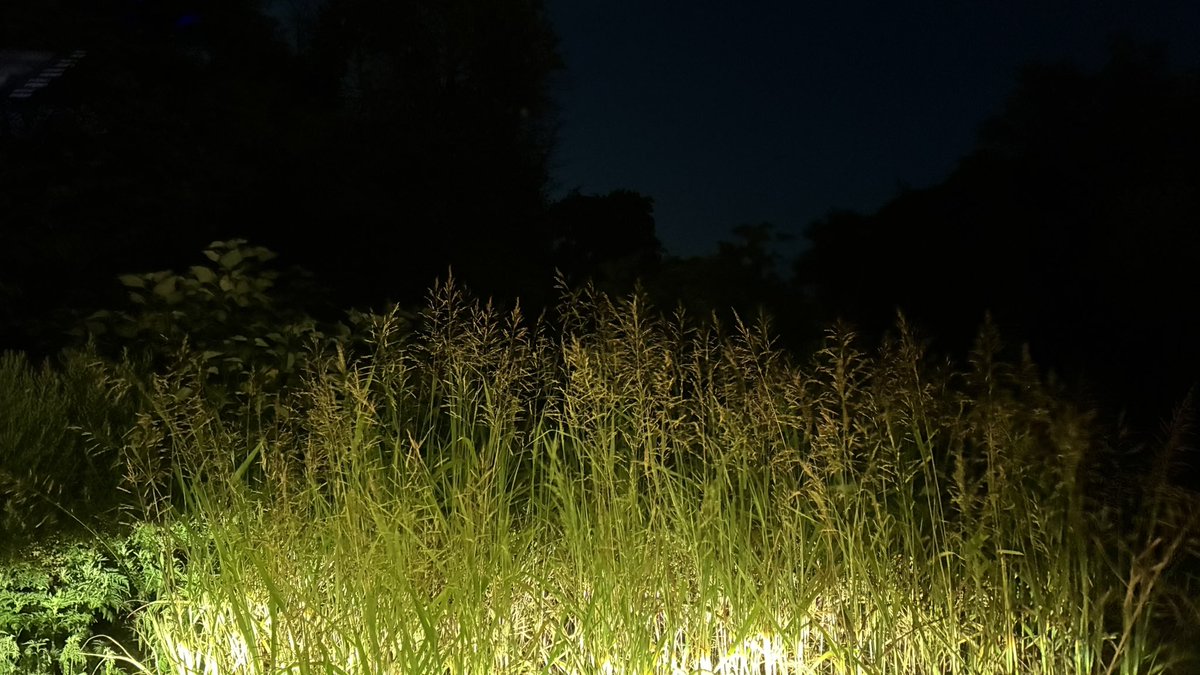 ShimeSAVAfish's tweet photo. 半年振りの釣行です
現地到着しました🌛 https://t.co/6XG6lZP9Ki