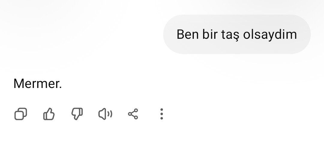 tugceeeen's tweet photo. Abi chatle akım yapalım dedik coğrafi isaretimizi söyledi akım bitmiştir. https://t.co/EbPtc4eFU5