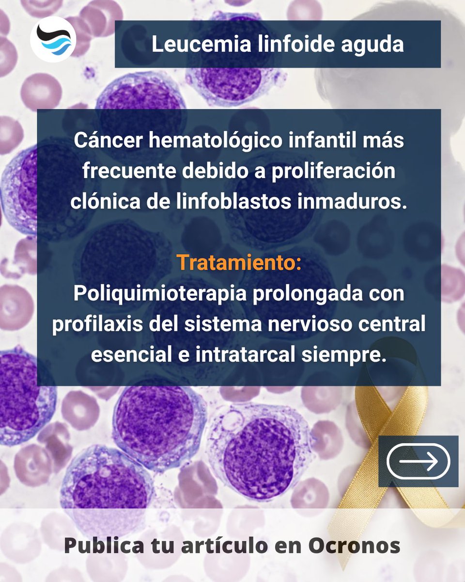revistaocronos's tweet photo. Leucemia linfoide aguda: no todo dolor óseo infantil es banal.
Blastos linfoides, fiebre, adenopatías y profilaxis obligatoria del SNC.
Guárdalo para repaso rápido. 🩸 #Hematología #Medicina https://t.co/If89qlTOnQ