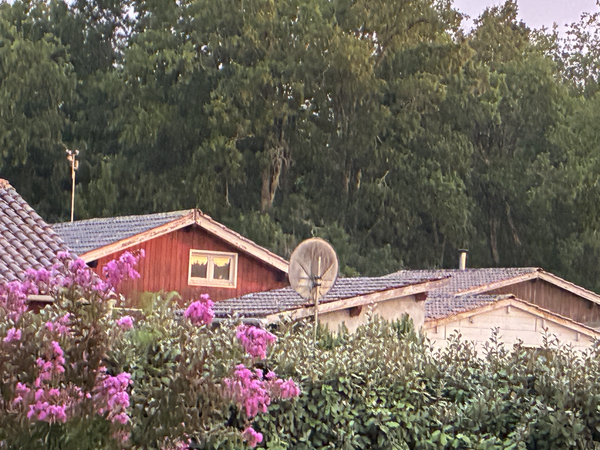 EllenVera_Z's tweet photo. Gewitter ⛈️ Es regnet… 🥳😅😎 etwas. Hoffentlich auch am Bassin #Gironde #Hourtin #Medoc https://t.co/X50fbNRD5j