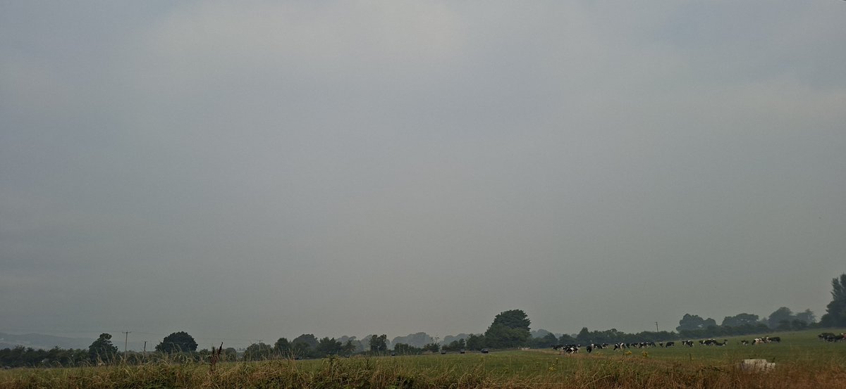 SeanKerin5's tweet photo. @CarlowWeather @CorkSafetyAlert Decent smoke smell here this morning in Sth Kilkenny. Wind direction changed early. https://t.co/DVL5NDRebw