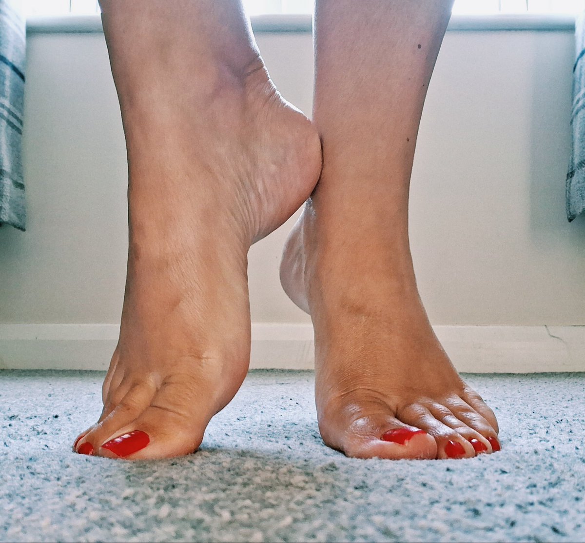 Char230480's tweet photo. New to the community, once a shy girl now a positive independent woman. Follow me on https://t.co/LamwaATpa3 or DM me x https://t.co/9sJvGQcAkv
