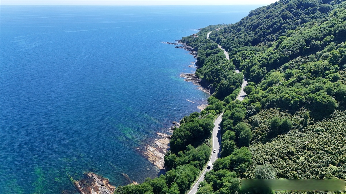 Quentin29231646's tweet photo. [Just wrapped a quick coastal day trip! Blue waves, fresh air, and zero plans—perfect reset. ] https://t.co/KSTmJIO18D
