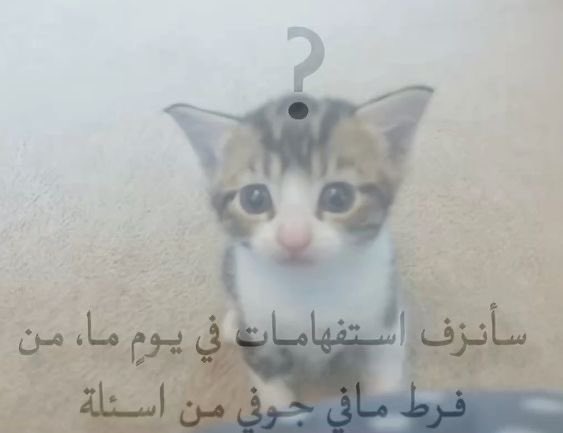 Usernottttheree's tweet photo. https://t.co/VLrrI02SUt