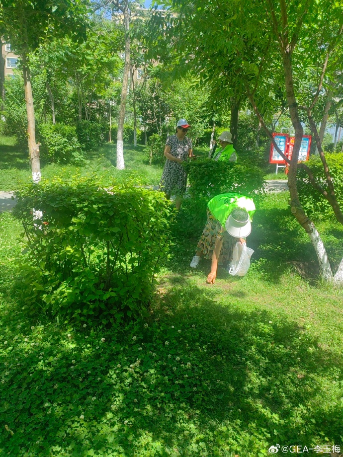 NsnxEtqZylgdaiD's tweet photo. Join our neighborhood garden cleanup this Sat 9am at Oak Park! Bring gloves u0026 friends—help keep our community green u0026 thriving! https://t.co/dA60eUXQiS