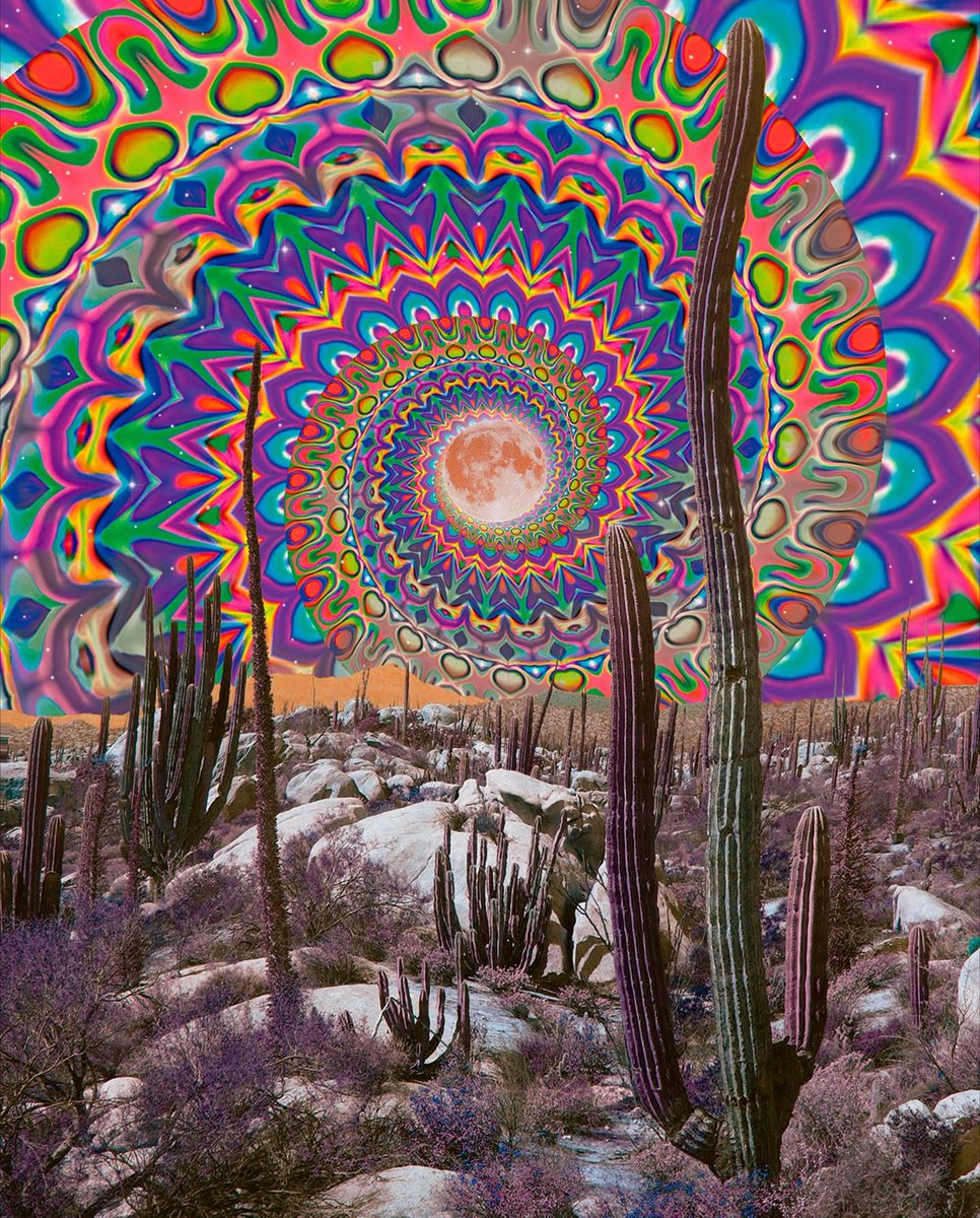 APsychedelics's tweet photo. Desertscape by @cajucart 🌵 #trippy https://t.co/sG6R2866Rx