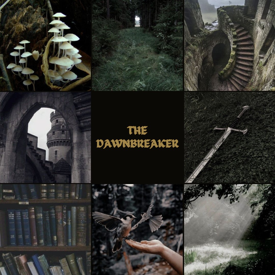 thebookishmouse's tweet photo. THE LOST STORY X THE ISLE IN THE SILVER SEA 

A fantasy novel aficionado discovers he’s the reincarnation of a revered Mage, and must uncover his past life memories to save his newfound home before it’s decimated by a horde of soul-devouring beasts.

#QuestPit #Q #A #F https://t.co/dzEEZFFbMi