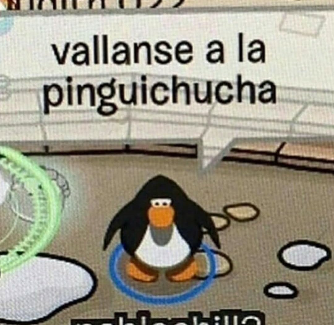 nvni 🇨🇱 tweet media