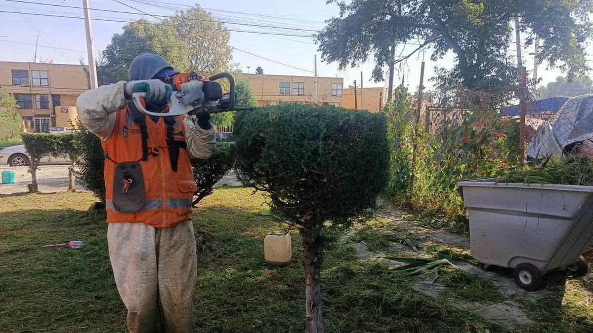 FerFlores_Emp's tweet photo. Este jueves y viernes, estamos realizando mantenimiento de las áreas verdes del Fraccionamiento Rancho San Francisco; trabajamos por un Metepec más limpio y con espacios dignos. https://t.co/IeLksjRGEa