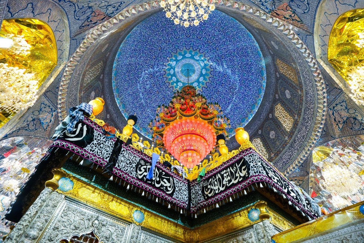 فاطمه قاسمی tweet media