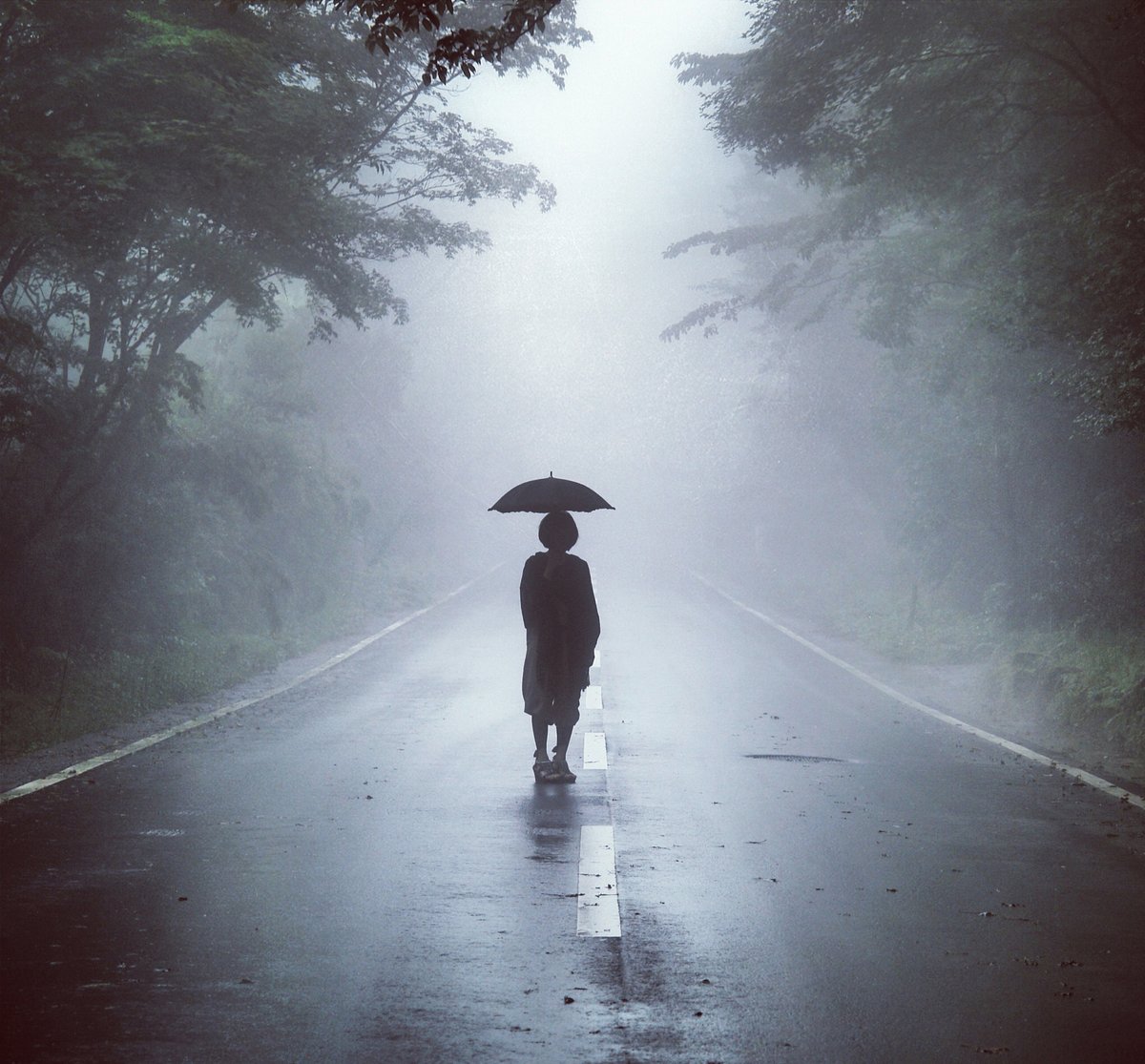Manfuckyall12's tweet photo. A stranger gave me their extra umbrella and said "Hope your day stays bright" when I got caught in sudden rain. Small kindnesses wrap the world in warmth. https://t.co/r6G4OeepCX
