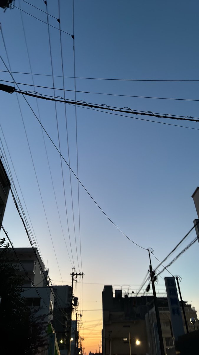 nagomatyo's tweet photo. 朝だあああ https://t.co/Y3TsIT1Apv