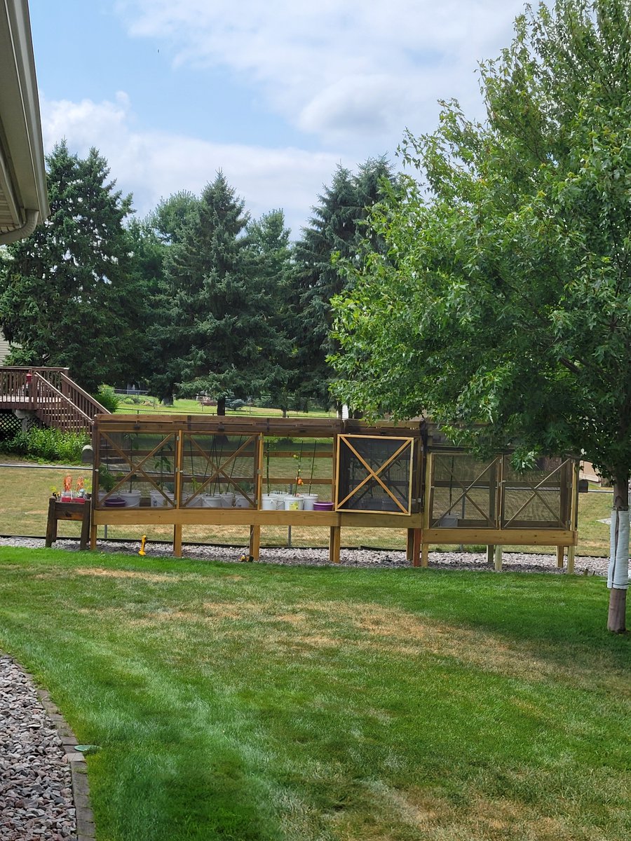 Beagreatyoomin's tweet photo. #mylittlefarm
#gardening
Finished building https://t.co/z5MQW9WeAU