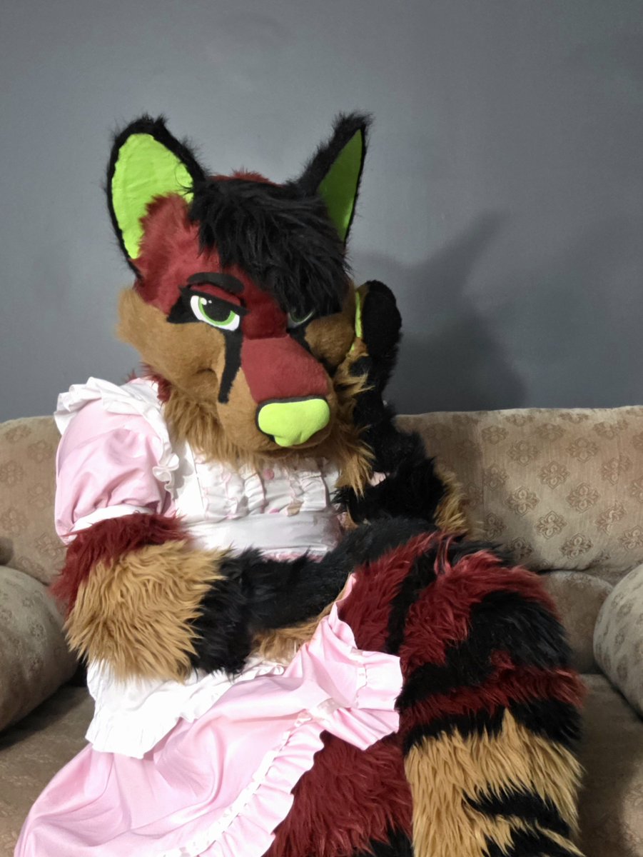 CrypticCanid's tweet photo. psst... I heard it's fursuit friday... did you bring any doggy treats? 🐾🦴👀 https://t.co/urXj2sSUqB
