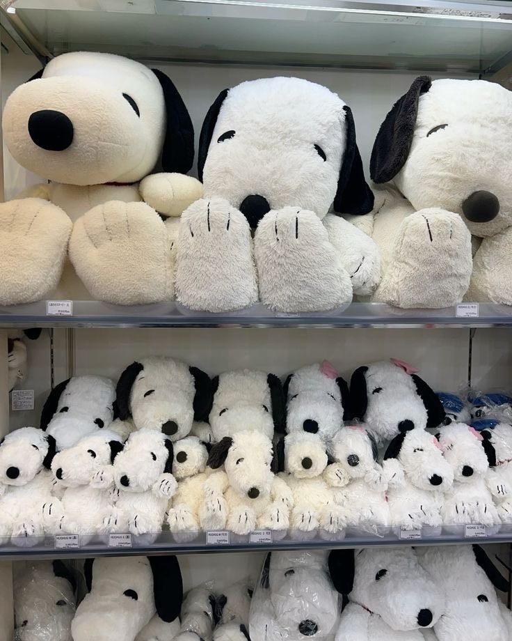snoopy lover tweet media