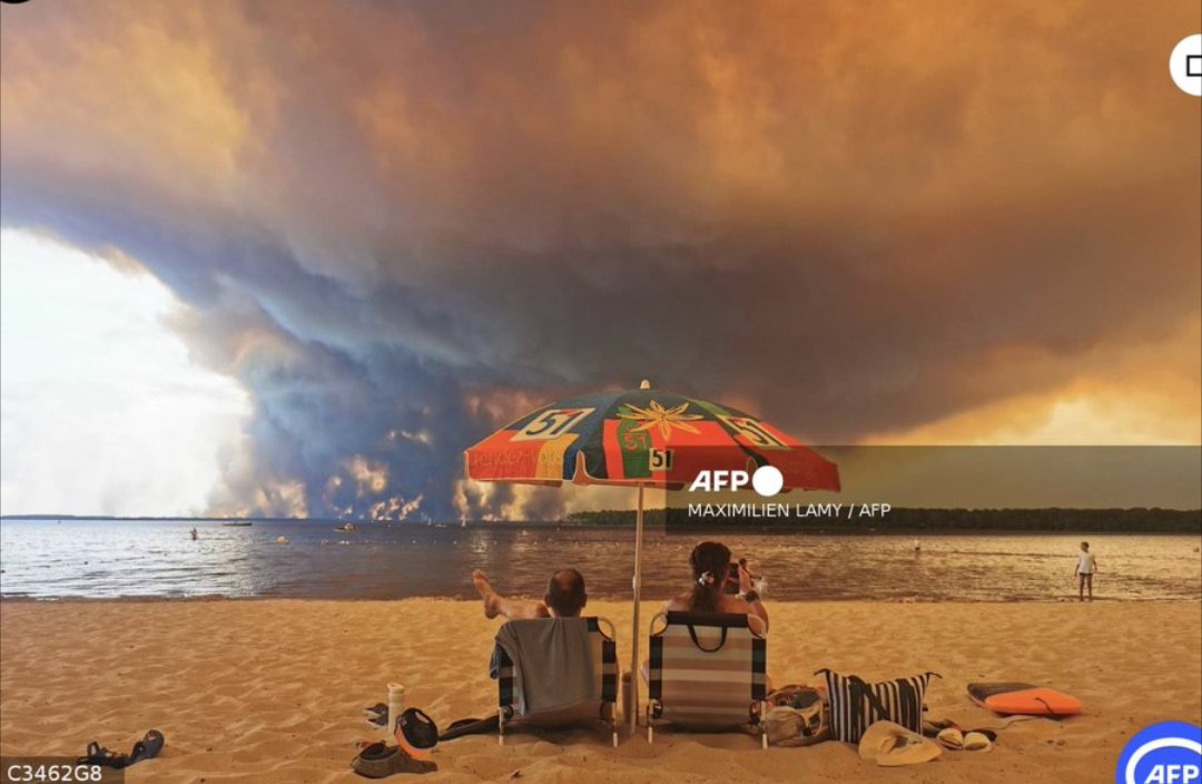 picharbonnier's tweet photo. C'est vraiment le meme du siècle.

Le réel le plus brutal laisse apathique. On le regarde venir nous frapper comme un spectacle. https://t.co/NM9VlcIovc
