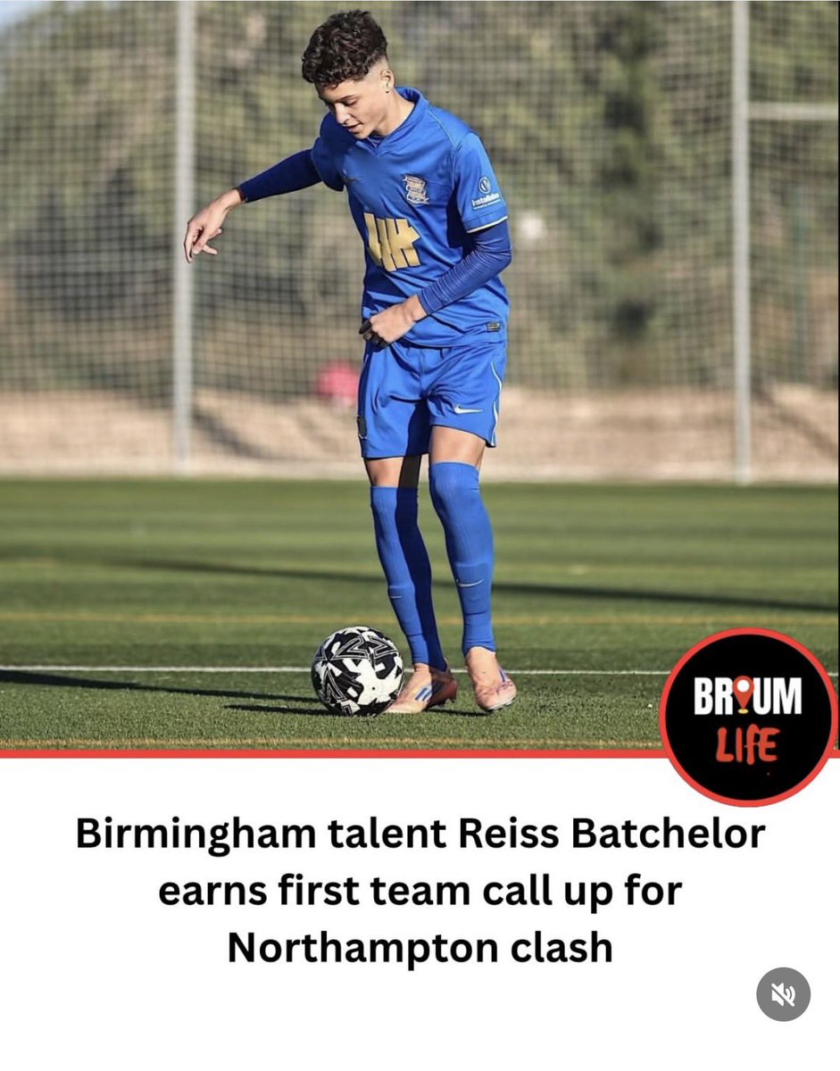 Richie 11 Batch ©️ tweet media