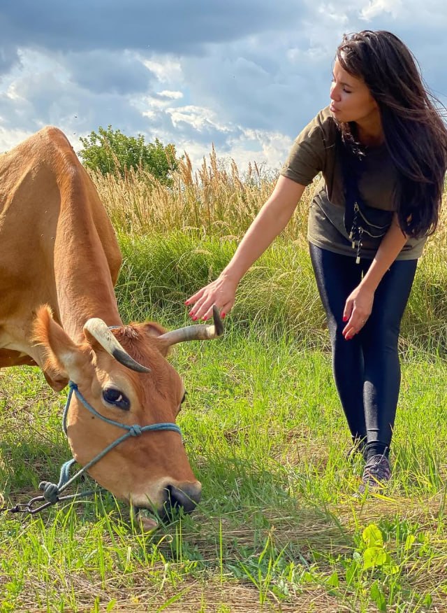 txc8n's tweet photo. I think the horse was more interested in saying hello than posing for a photo😄 https://t.co/xToNA24LHJ