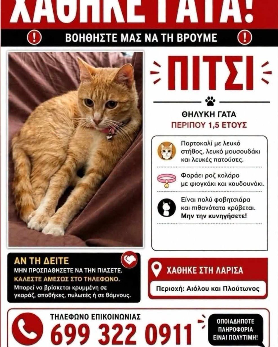 KatKatPt's tweet photo. 🆘️🆘️🆘️
Λάρισα 
Χαθηκε η Πιτσι περιοχή Αιόλου κ Πλουτωνος 
Φοραει ροζ κολάρο με φιογκάκι κ κουδουνάκι 
Είναι φοβικη αν την δείτε μην προσπαθήσετε να την κυνηγήσετε,καλέστε άμεσα στο τηλ
Rt 🙏 🙏 🙏 https://t.co/OgIwZhltDg