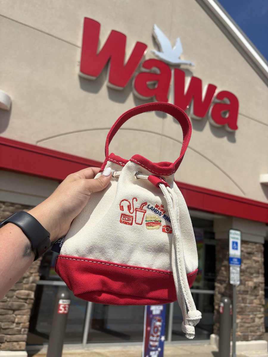 llisonmiller's tweet photo. First LeBron and now I got my hands on the @LandsEnd @Wawa shorti tote. Dreams do come true! https://t.co/g1udClgzXq