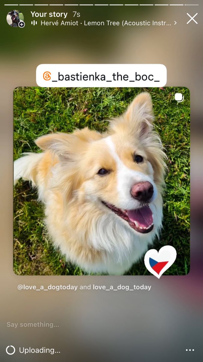 Anman248's tweet photo. Today’s Friday friends 

Follow on IG @love_a_dogtoday and @love_a_dog_today for the complete posts and profiles of these pups
.................
#dog #dogs  #loveadogtoday #loveadogday  #doglove #dogsoftwitter #twitterdogs #twitterdog https://t.co/h2GGo9XvEz