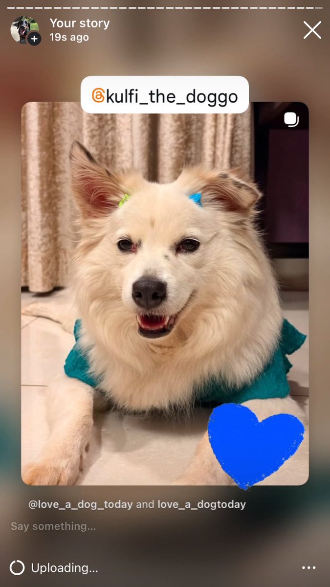 Anman248's tweet photo. Today’s Friday friends 

Follow on IG @love_a_dogtoday and @love_a_dog_today for the complete posts and profiles of these pups
.................
#dog #dogs  #loveadogtoday #loveadogday  #doglove #dogsoftwitter #twitterdogs #twitterdog https://t.co/h2GGo9XvEz