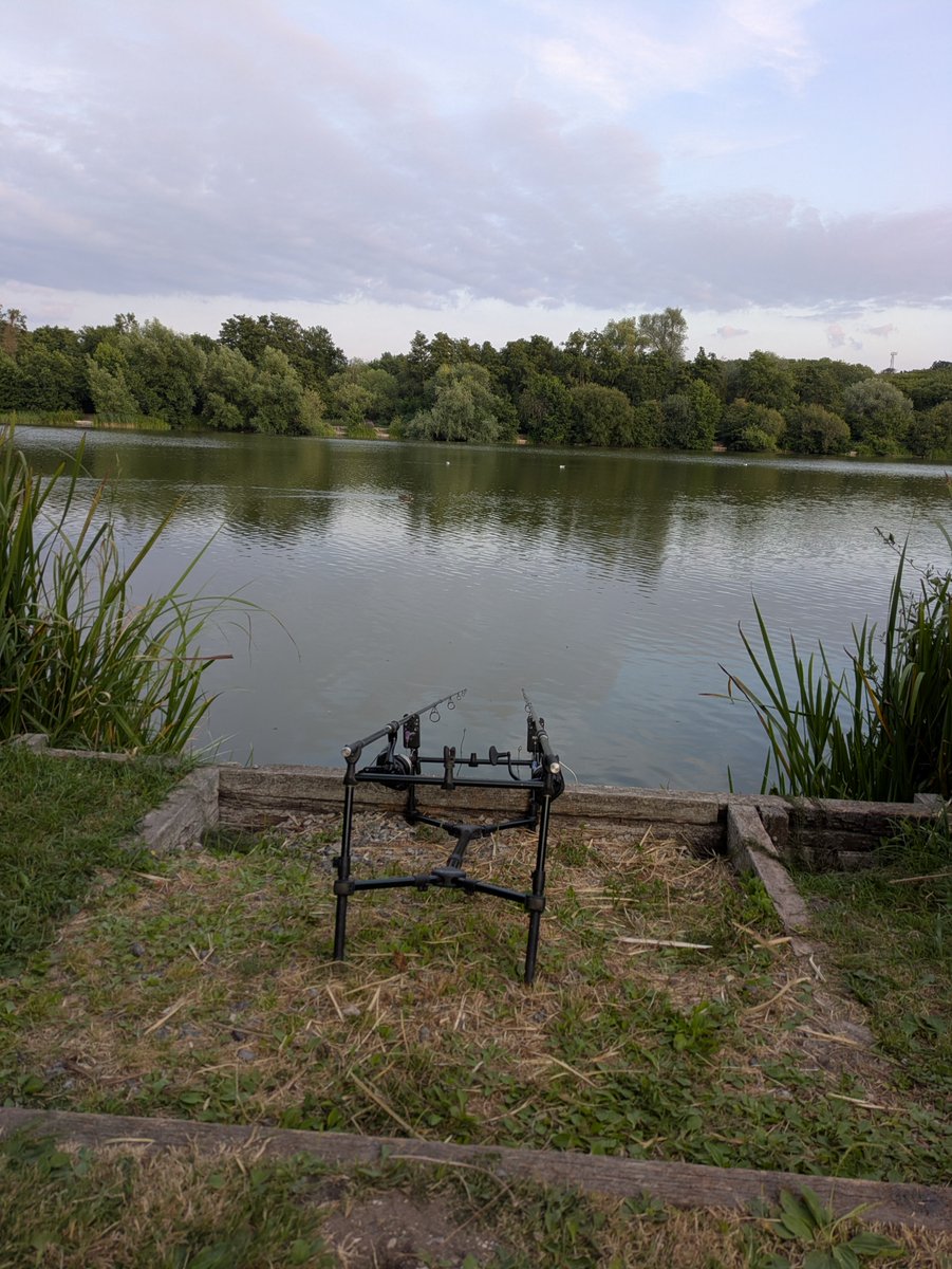BobCuffy's tweet photo. Finally we are back in the hunt!!! #carp #tench #lakes #nature #keeponkeepingon https://t.co/8Jy6dVn0xr