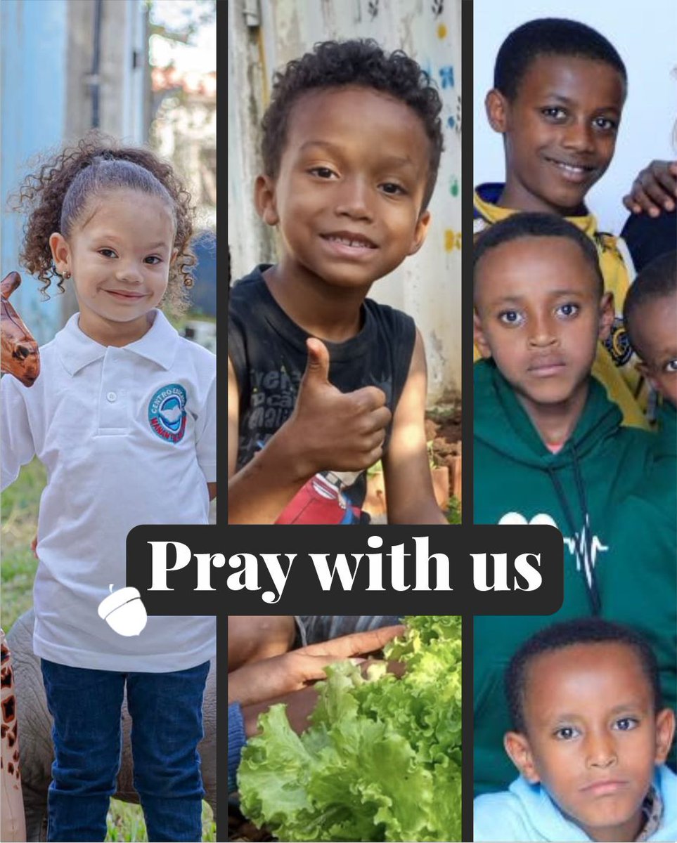 Oakseed's tweet photo. Thank you for your prayers for Oakseed's ministry partners this week! Please visit https://t.co/7N0yxa0tjP for more prayer resources. https://t.co/JQ8Fy6HM8m