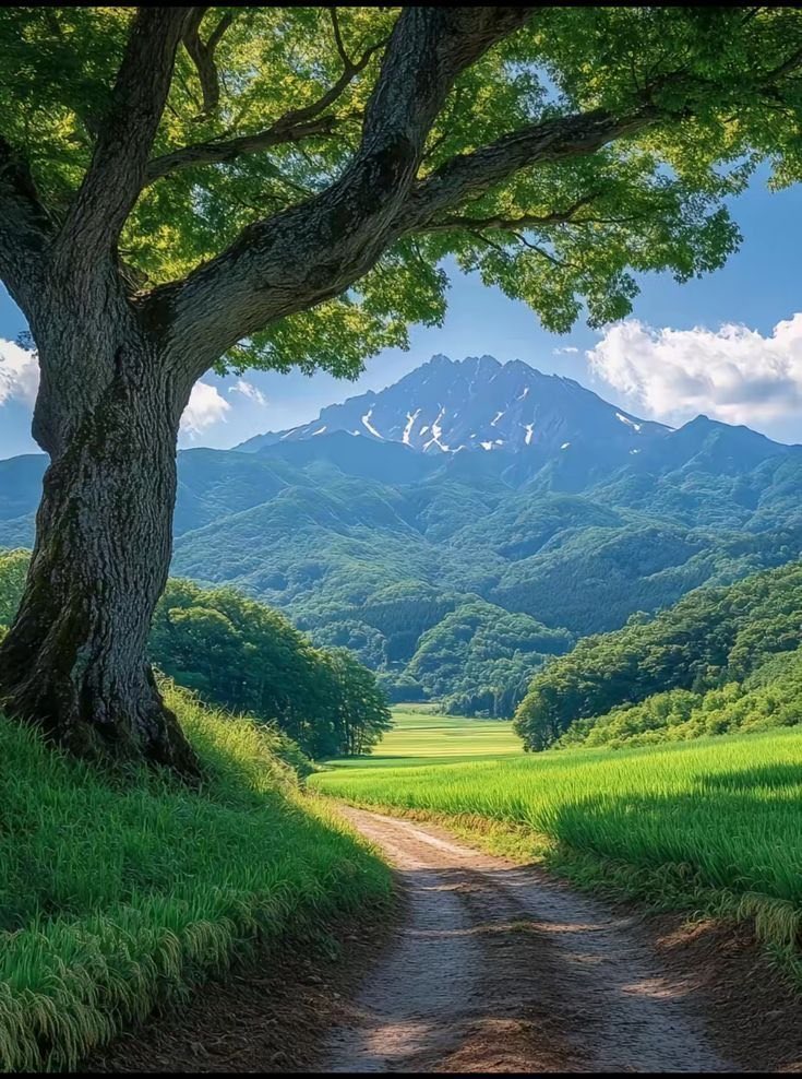 botar777's tweet photo. https://t.co/1WPUoqNsvM