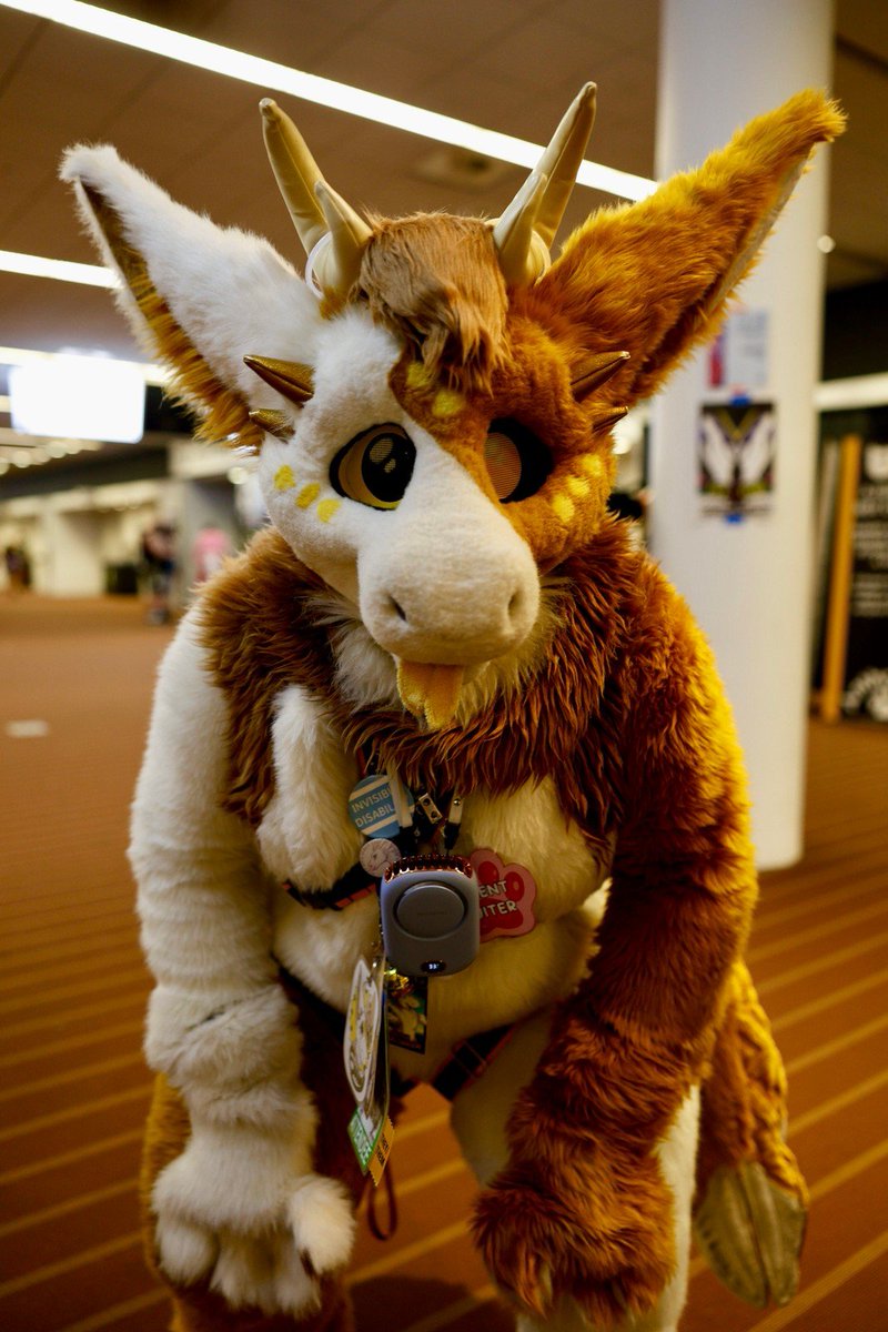 Societea_suits's tweet photo. Hey! Hey you!
Sunny thinks you are a cutie 🥰 stay awesome and remember to smile today!
#fursuitfriday #dutchangeldragon #ac2026 #skypro https://t.co/HQmG4JgX2c
