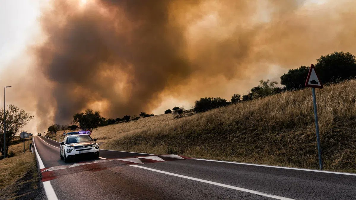 VirutasF1's tweet photo. Pedazos de gilipollas... poneos a apagar el incendio. Olvidaos de la puta pelea política para cuando no haya gente a la que ayudar, panda de inútiles, que para eso os elegimos, a todos, da igual el color, alcornoques

Y a los que estáis en ello, mucha suerte y muchas gracias https://t.co/QgpFqbgrVG