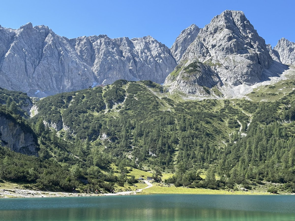 J_Pine_Savage's tweet photo. Shared the trail today w lots of cows on my way to the prettiest alpine lake in Austria. #ehrwald #Seebensee #hotelspielmann https://t.co/bNclmX3Uw3