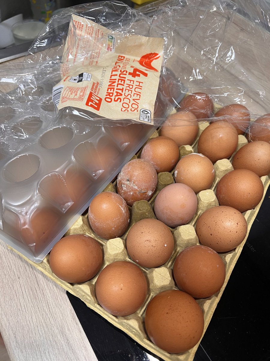 holasoyrio's tweet photo. @lidlespana compré estos huevos y estan mojados y con moho!!!! No he podido volver a la tienda porque estaba de vacaciones. ¿Alguna solución? @consumidores @FACUA https://t.co/OaKEzDT9G4