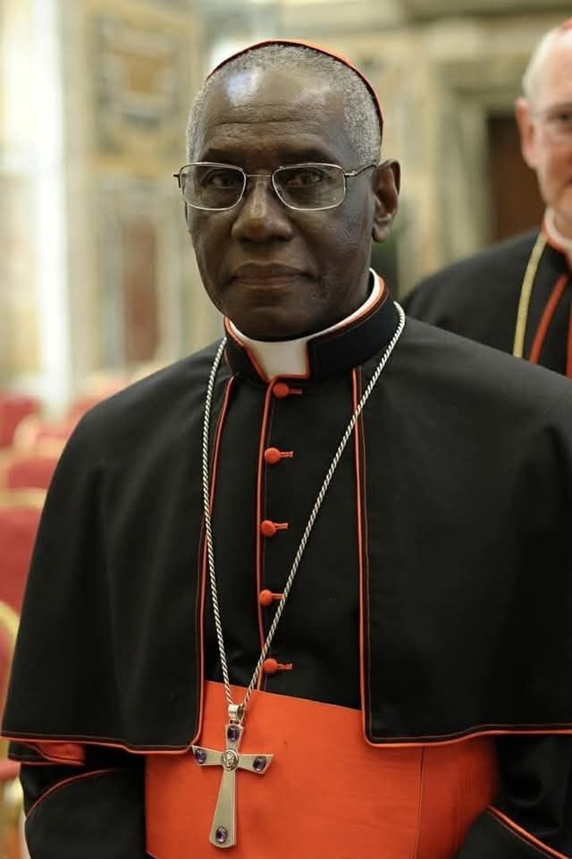 UcheMaryOkoli's tweet photo. “We are living in a time of confusion, where evil is called good and good is called evil.”
- Cardinal Sarah https://t.co/GUWh5TNJlR
