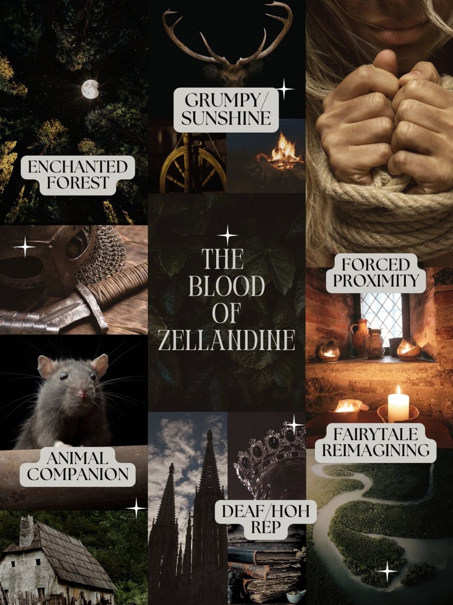 Lk_chopin's tweet photo. 😴👑YA Sleeping Beauty Reimagining👑😴

After a century-long sleep, Zella sets out to overthrow the queen who cursed her, but her quest is interrupted when she is captured by a deaf soldier who is immune to her entrancing song magic.

#questpit #rf #q #ya #f #amquerying #df #r https://t.co/GRKMRff50F