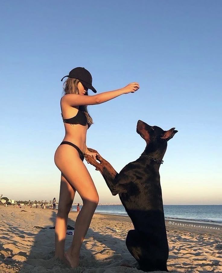 l7742680's tweet photo. Beach time with my pawsive king!🐾
Want to be part of my taboo private room…?👇👇
https://t.co/jwr468VMjZ

#zoophillia #zoosarevalid #beastiality
#dogknot #zooprideisvalid #zoophile
#antizoo #antizoophile #zoopride
#zoophilepride 
#zooisnotvalid
#Beastmode https://t.co/jXUGW7qQvC
