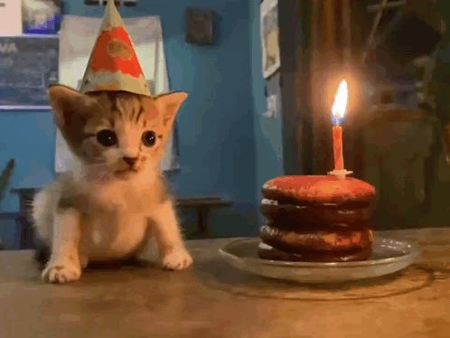 allygoop's tweet photo. birfday https://t.co/FrLsrsVPUT