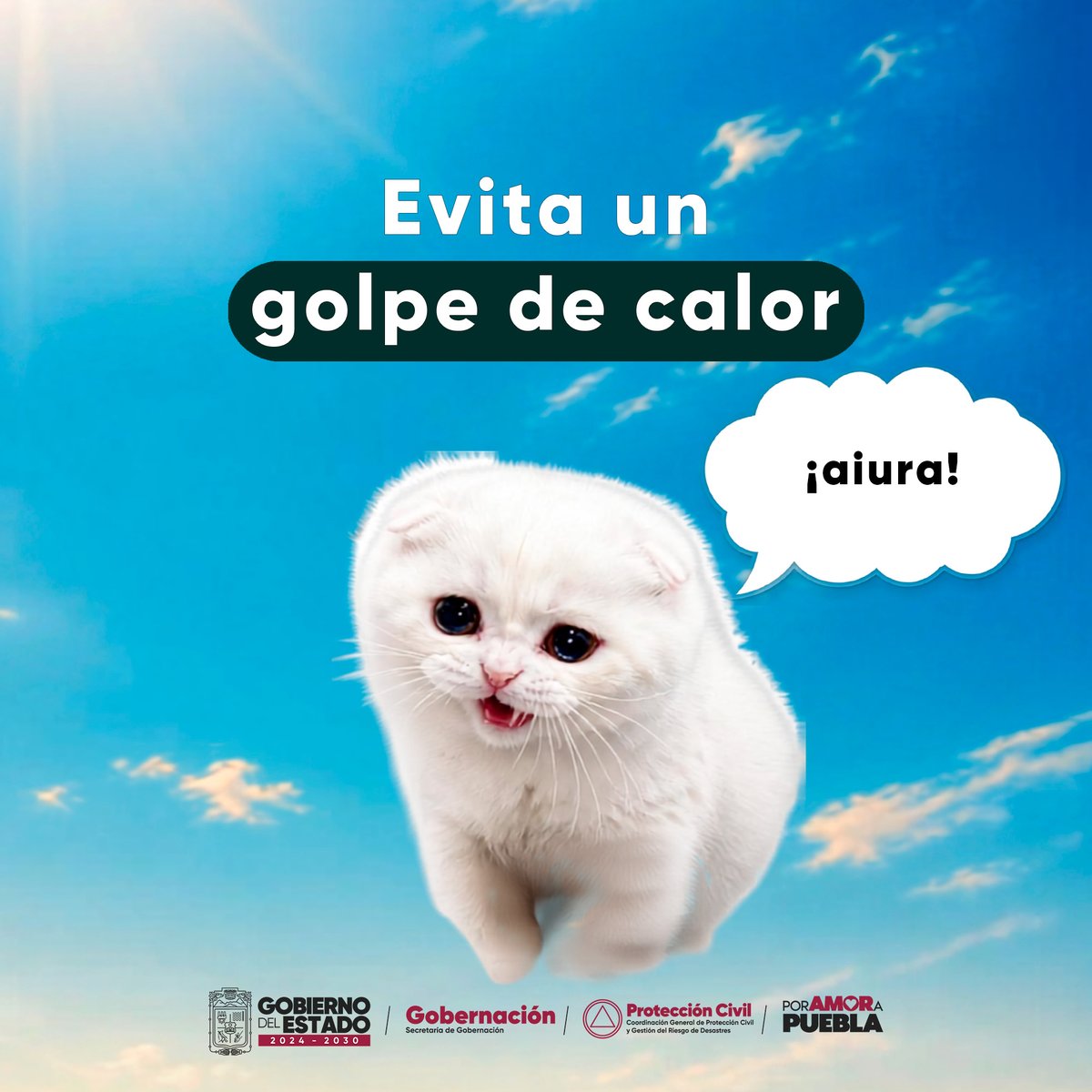 PCGobPue's tweet photo. ☀️ ¿Sabes cómo identificar un golpe de calor? 

🐱 El @Gob_Puebla te lo explica con michis.

Si ves a un michi en esas condiciones, refréscalo con agua y llévalo a la sombra. 🥤⛱

#PorAmorAPuebla https://t.co/CC0e0jrY14