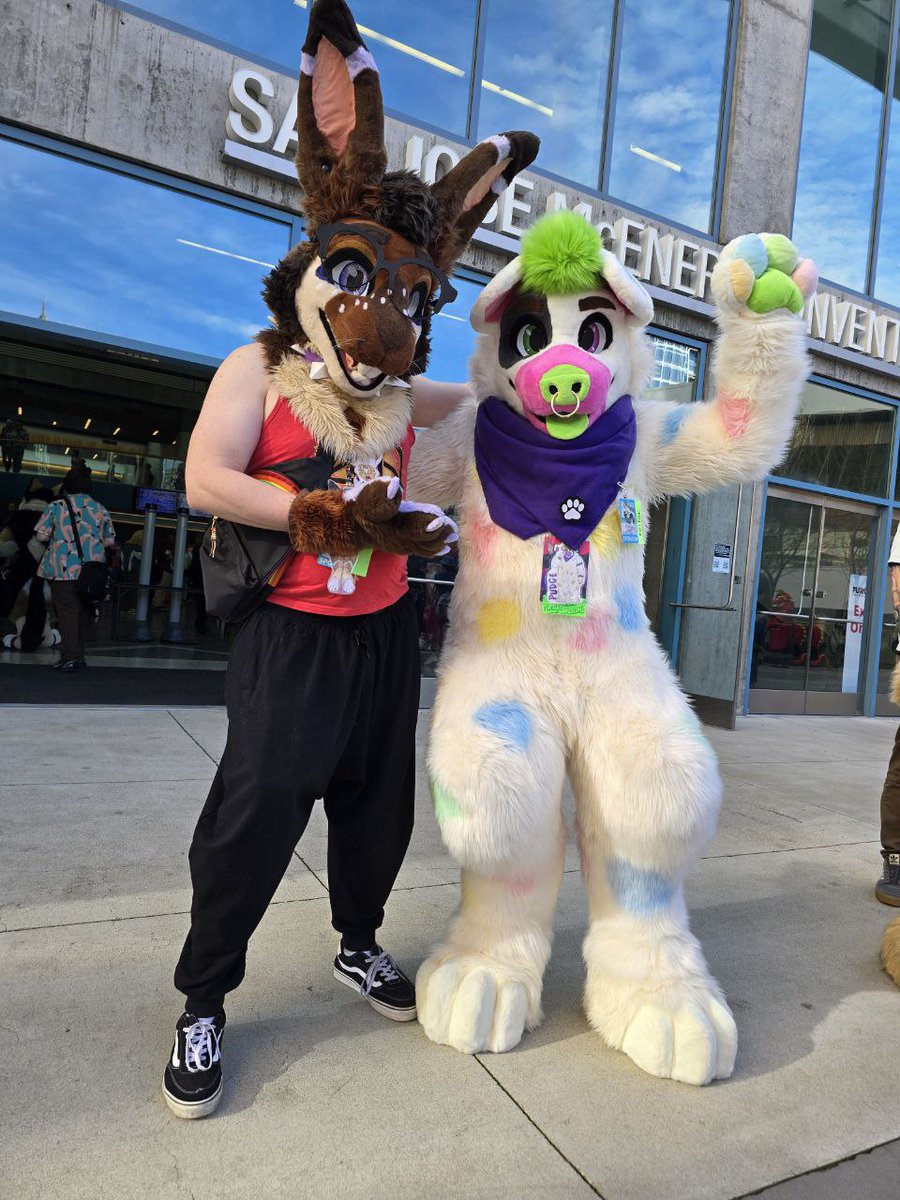 GoldDogFursuits's tweet photo. Happy #fursuitfriday! Throw back to seeing @pudgepiggypup in fullsuit for the first time at FC
📸@corgizilla https://t.co/C9ZOWdwXDc