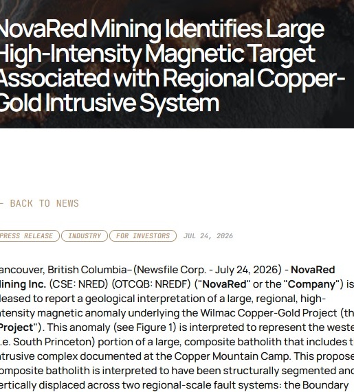 Guitar_GDC's tweet photo. Wow, did you guys see the news? NRED may have identified the architecture of a larger regional system before proving the mineralization with drilling. The catalyst runway just got much longer.
#teenage #teenager
UNH https://t.co/fw2d43JcFa