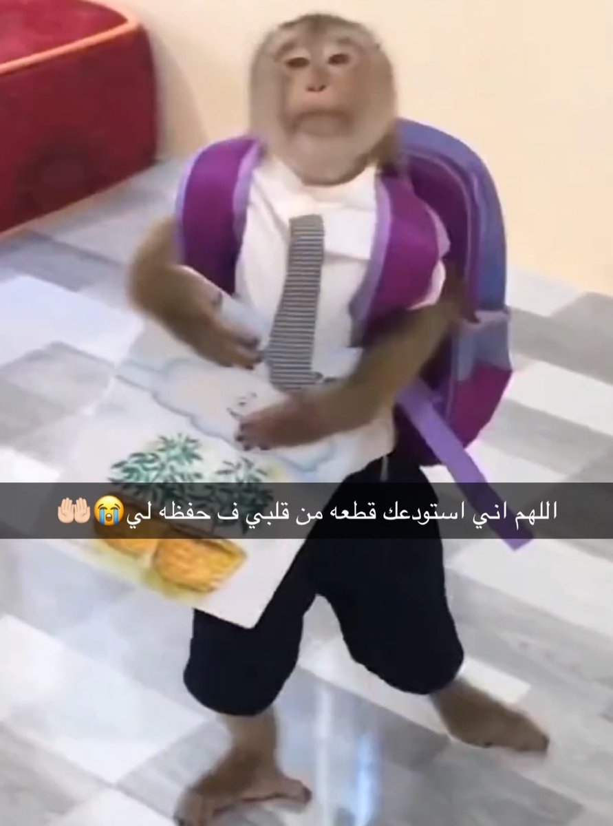 eddllllll's tweet photo. ويستغربون ليه يكره المدرسة بعدين https://t.co/f1OQScOAQN