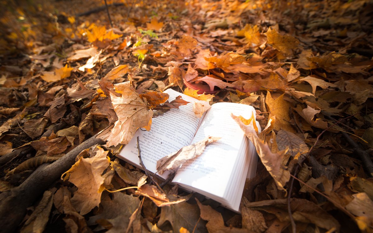 ReeseBullock's tweet photo. What makes a great book For me, it's the kind that lingers in your thoughts long after you turn the last page. Currently deep in this gripping novel—worth every minute of my reading time! https://t.co/sl8R2dxQiD