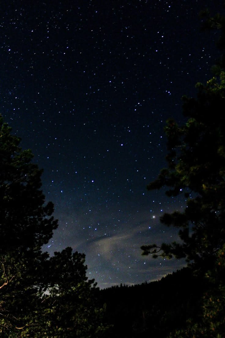 cozyycabin's tweet photo. Night Glow https://t.co/wVhZK53iKX