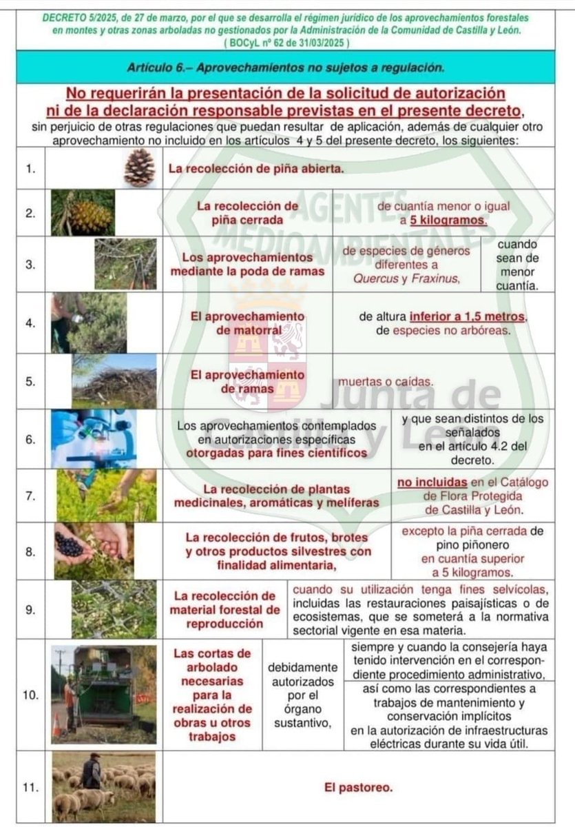 apamcyl's tweet photo. @MarinaRuiz Desconoce Ud bastante la normativa.
No existe ninguna prohibición de limpiar y cortar.
Es simple, se hace con una comunicación.
Es que ya nadie limpia el monte en el mundo rural. Los que lo hacían están ya en las residencias de ancianos.
Los jóvenes vienen al pueblo a la piscina https://t.co/yYV96Xbbkz
